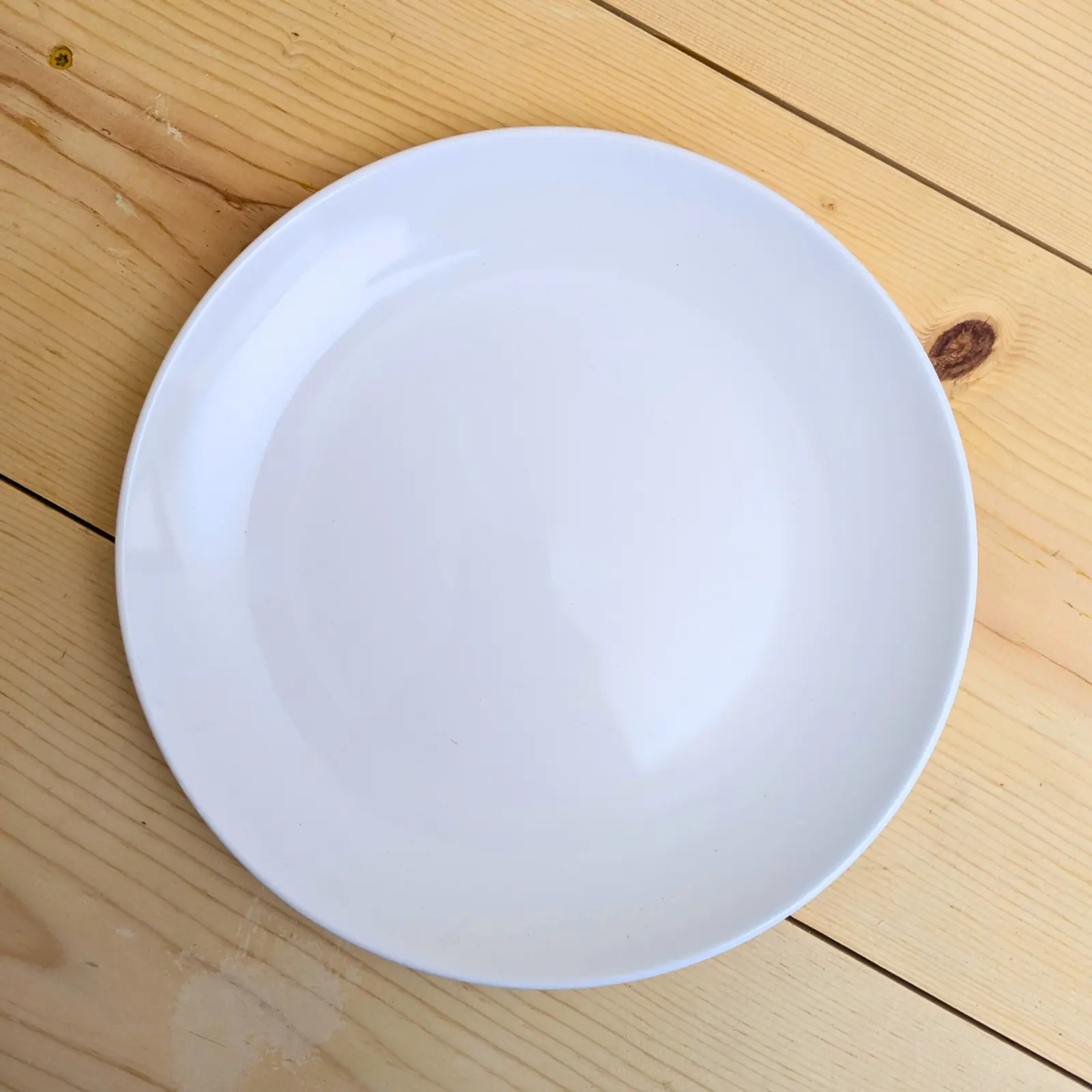 Project 62 10.5" Dinner Plates - Set of 4 - White Modern Stoneware