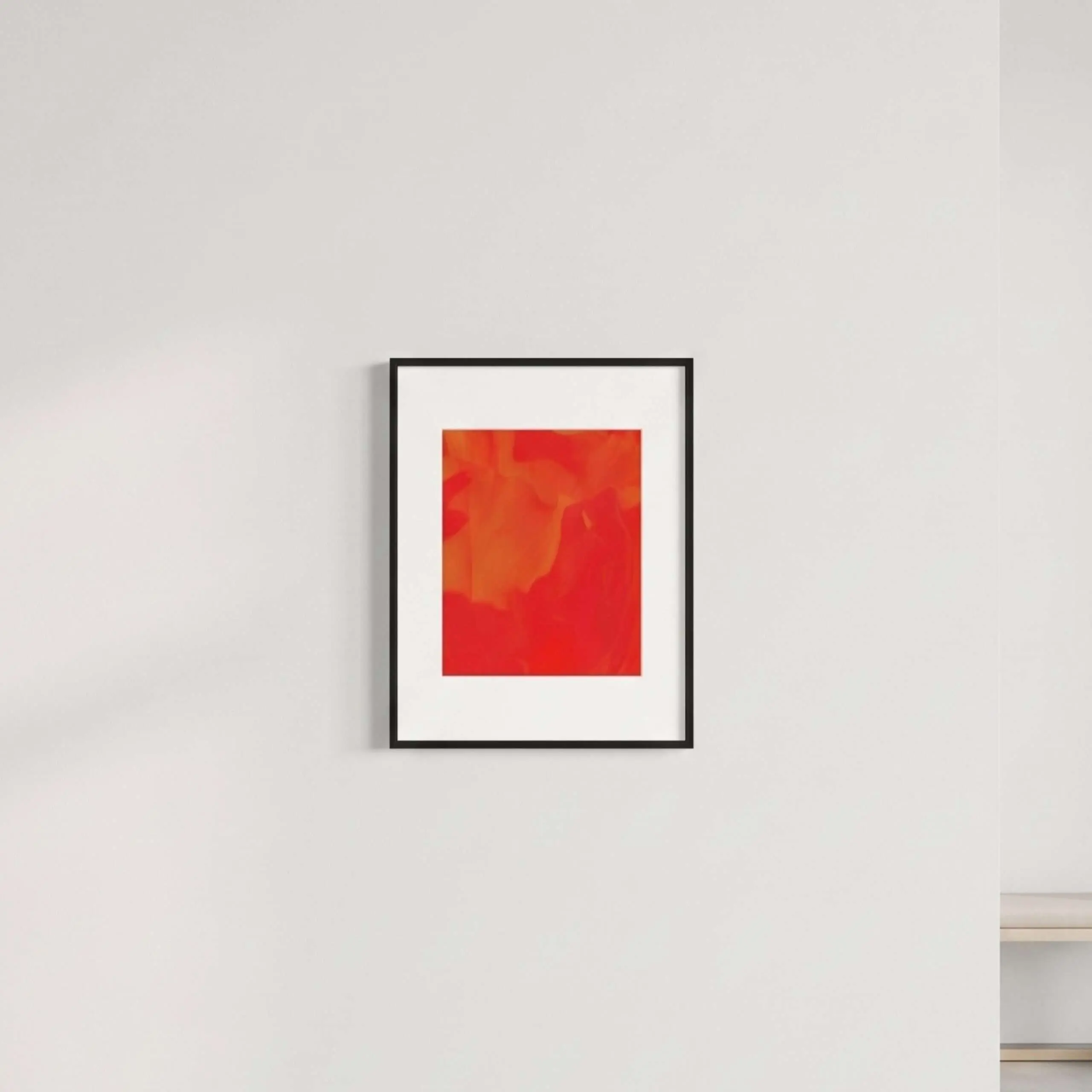Poppy by Joe Murphy